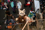 DSC_5893.JPG